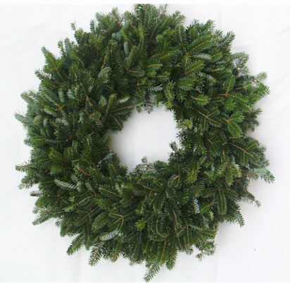 22" Fraser Wreath